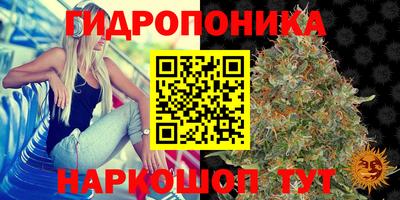 прущие крисы Кумертау