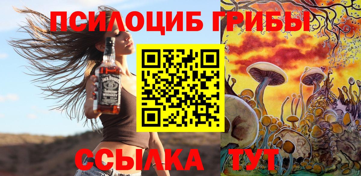 Псилоцибиновые грибы мицелий  купить  цена  Кисловодск  Псилоцибиновые грибы ЛСД  Вход с VPN 